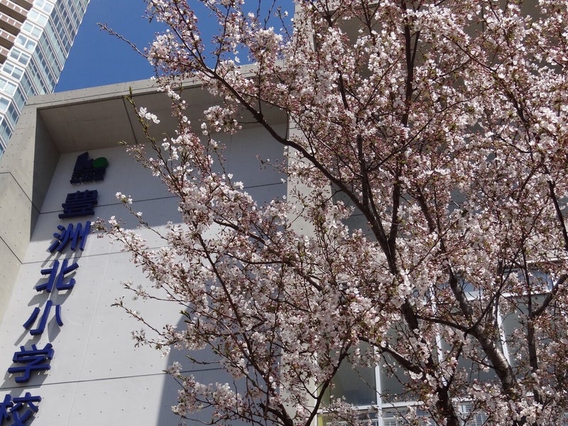 2021年3月、豊洲北小卒業生及びご家族の皆様へ